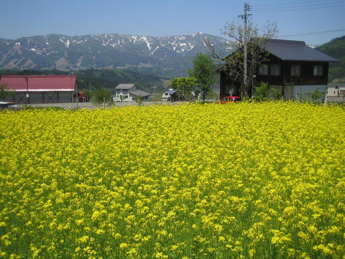 Inaka No Yado Sawa Hotel Nozawaonsen Bagian luar foto