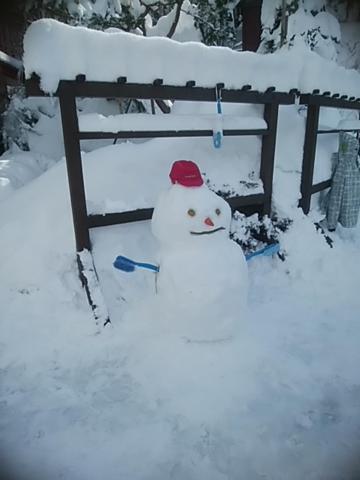 Inaka No Yado Sawa Hotel Nozawaonsen Bagian luar foto